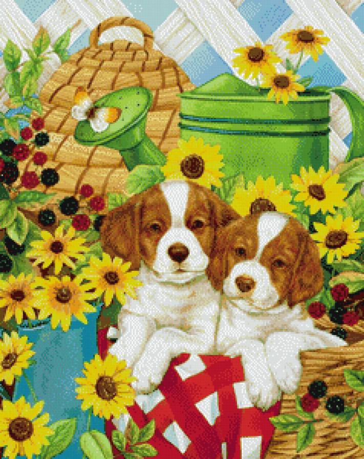 серия "собаки" - животные. собаки.цветы - предпросмотр