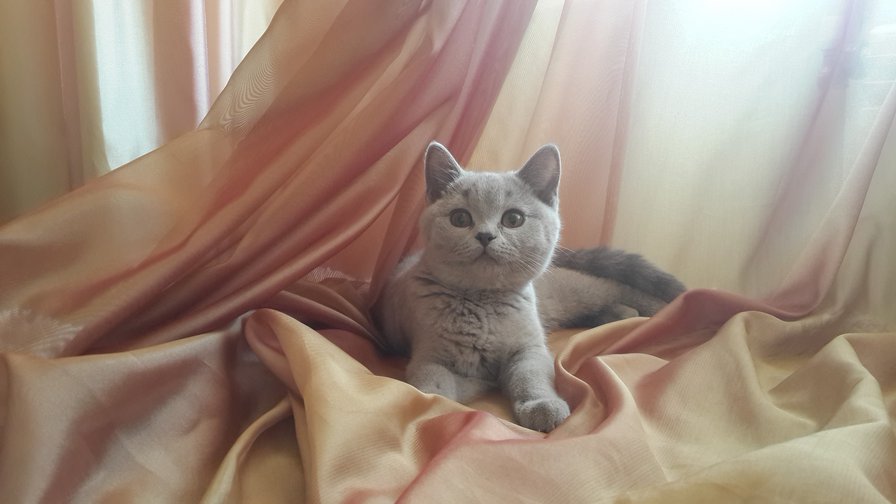 №997349 - оригинал