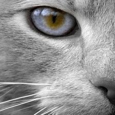 Схема вышивки «№997399»