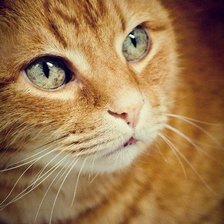 Схема вышивки «№997400»