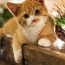 Схема вышивки «№997417»