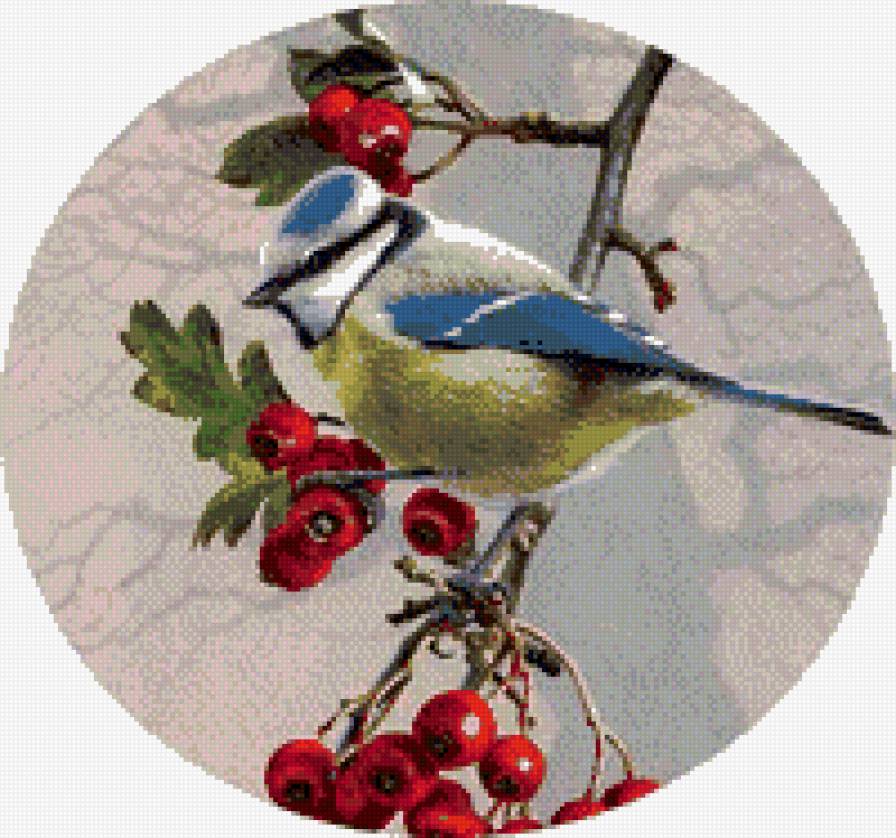 Птичка на веточке - веточка, красная ягода, птичка - предпросмотр