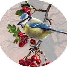 Схема вышивки «Птичка на веточке»