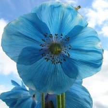 Схема вышивки «№997460»