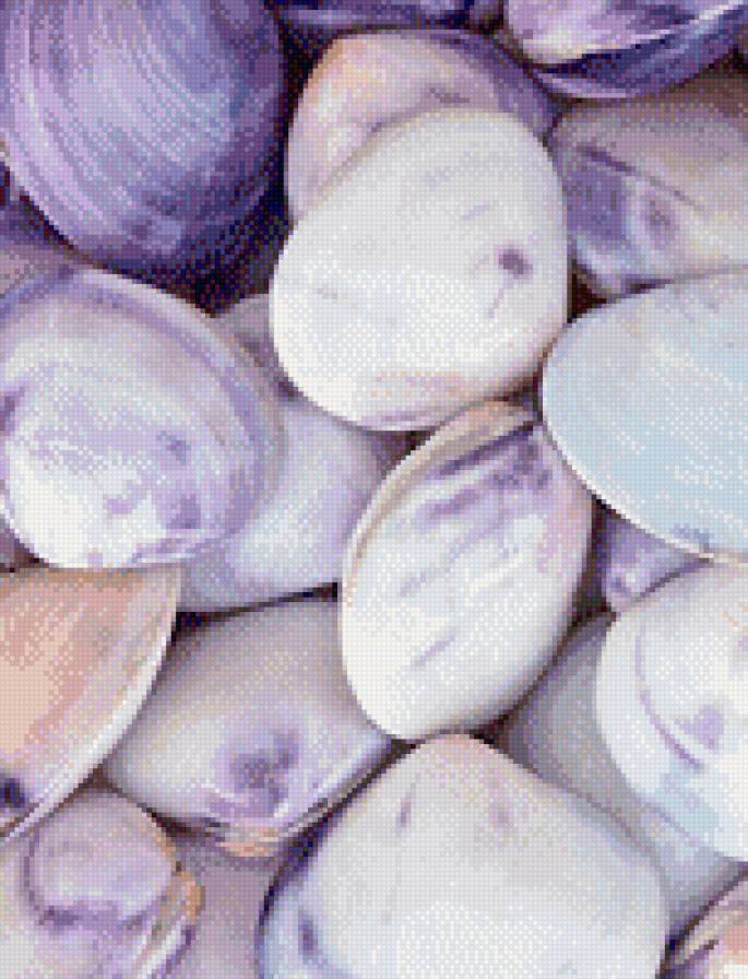 воспоминание о море2 - ракушки, море - предпросмотр