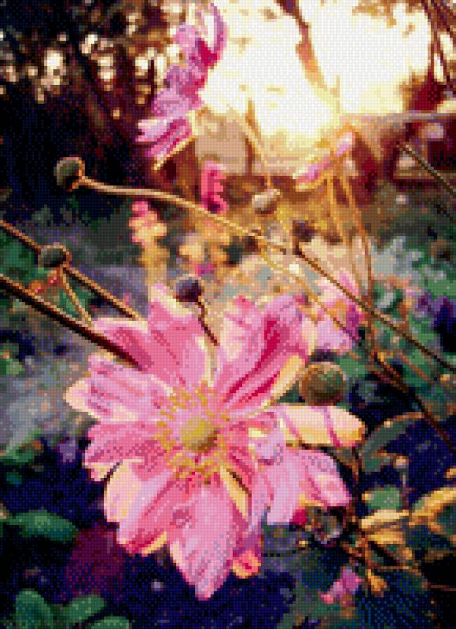 №997464 - цветы - предпросмотр