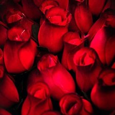 Схема вышивки «№997469»