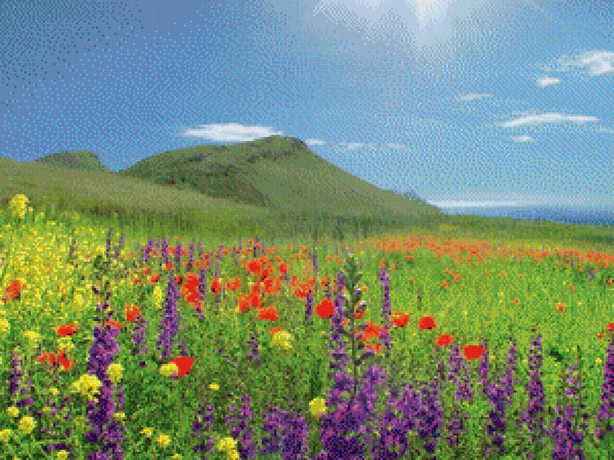 альпийские луга - цветы, путешествие, горы - предпросмотр