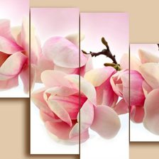 Магнолия Полиптих