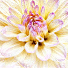 Схема вышивки «№997569»