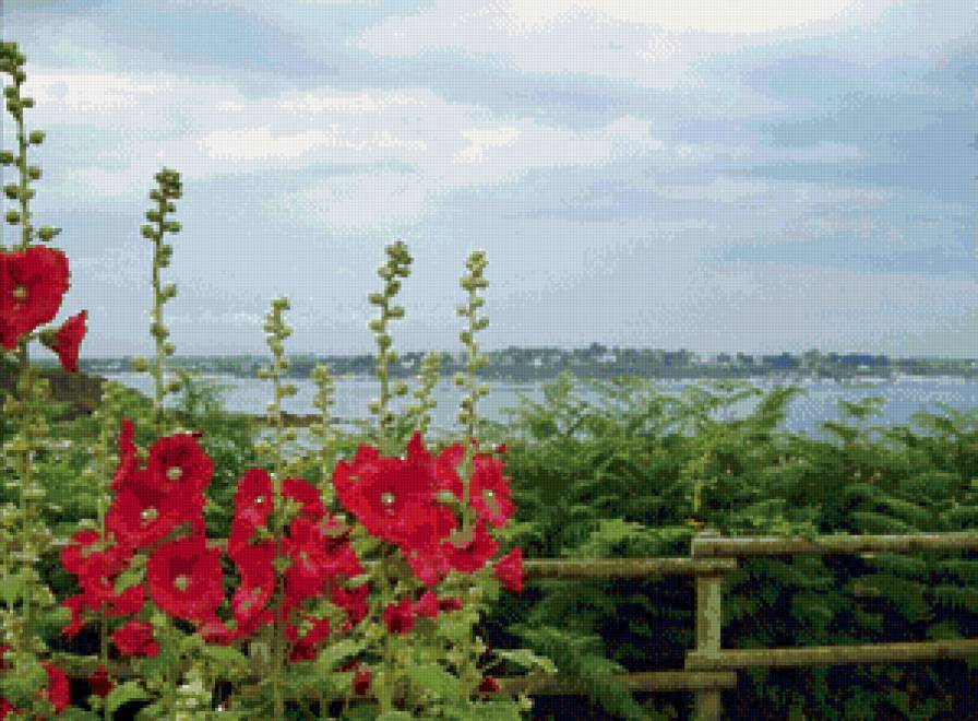 мальвы у реки - пейзаж - предпросмотр