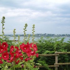 Схема вышивки «мальвы у реки»