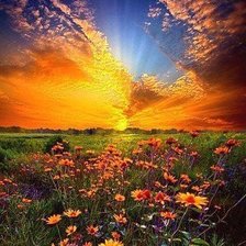 Схема вышивки «12»