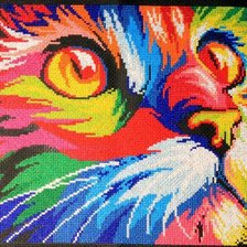 Схема вышивки «Цветной котик»