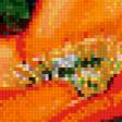 Предпросмотр схемы вышивки «букет маков» (№998627)