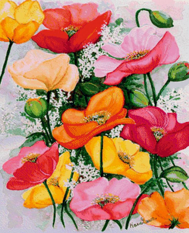 букет маков - маки, цветы - предпросмотр