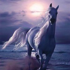 Схема вышивки «Лощадь»