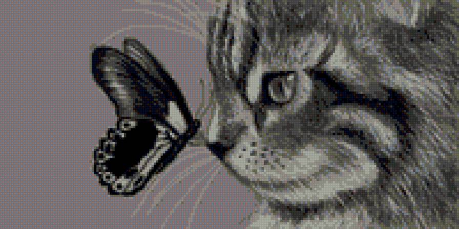 котёнок и бабочка - бабочка, котенок, котенок и бабочка - предпросмотр