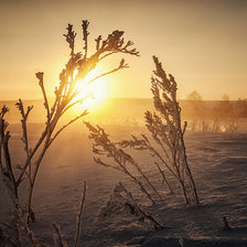 Схема вышивки «зимний закат»