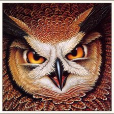 Схема вышивки «филин»