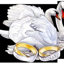 Схема вышивки «Лебединая верность»