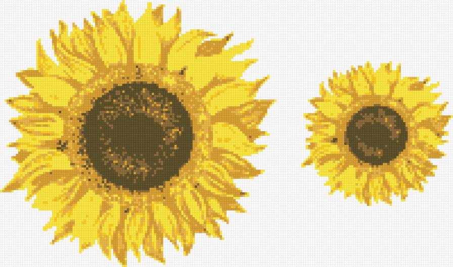 подсолнух - элемент, подсолнух - предпросмотр