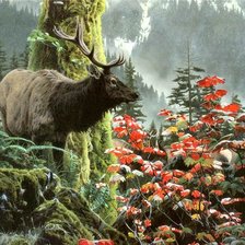 Схема вышивки «олень»