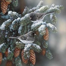 Схема вышивки «еловая ветка»