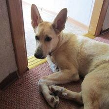 Схема вышивки «енне»