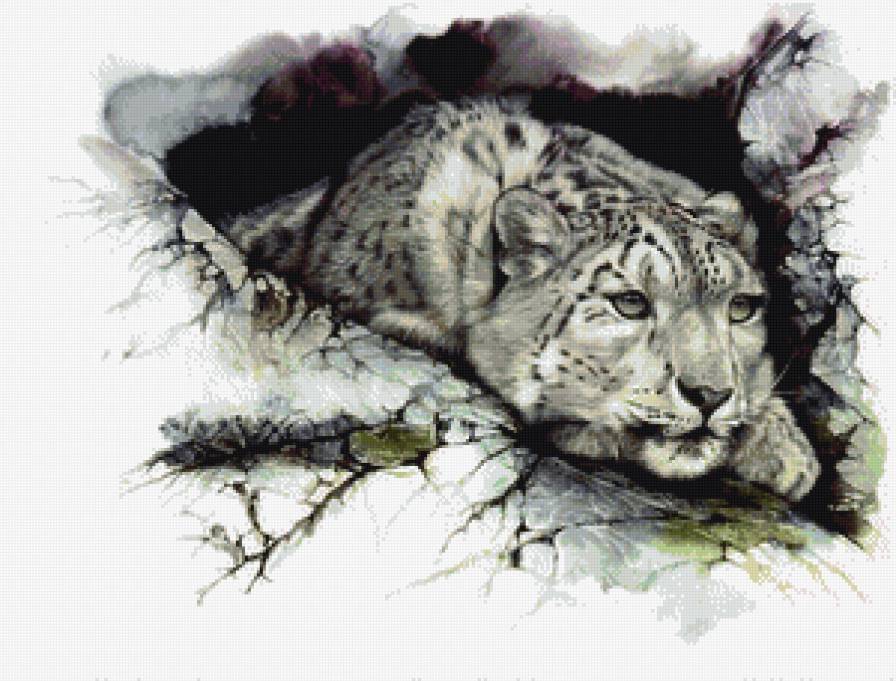 Снежный барс - картина, барс, петер вильямс, художник - предпросмотр