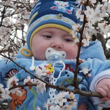 Схема вышивки «мое сокровище»