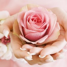 Схема вышивки «№ 113»