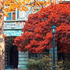 Схема вышивки «осень»