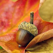 Схема вышивки «Желтый лист»