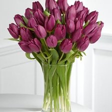 Схема вышивки «Тюльпаны»