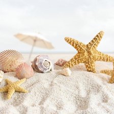 Схема вышивки «№ 119»