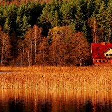 Схема вышивки «осень»