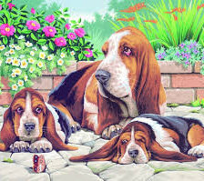 Схема вышивки «пр»