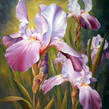Схема вышивки «Ирисы»