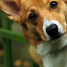 Схема вышивки «№1001692»