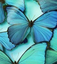 Схема вышивки «№1001705»