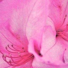 Схема вышивки «№1001712»