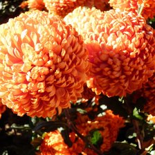 Схема вышивки «№1001715»