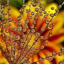 Схема вышивки «№1001718»