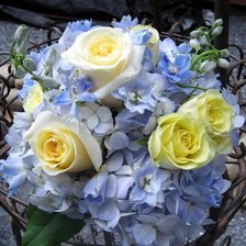 Схема вышивки «№1001722»