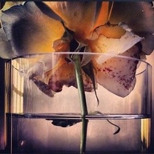 Схема вышивки «№1001725»