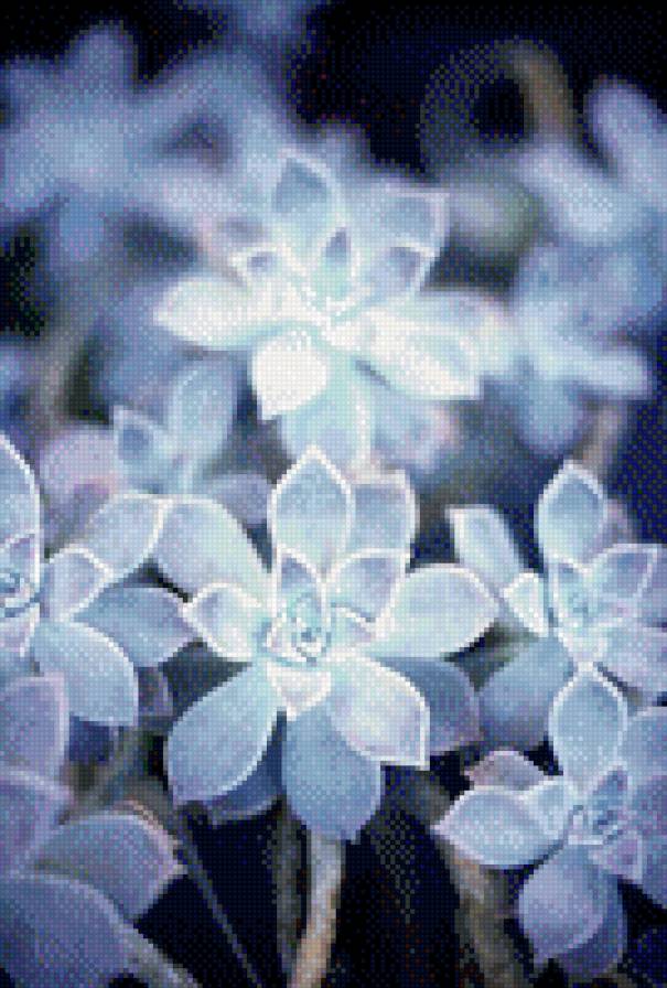 №1001726 - цветы - предпросмотр