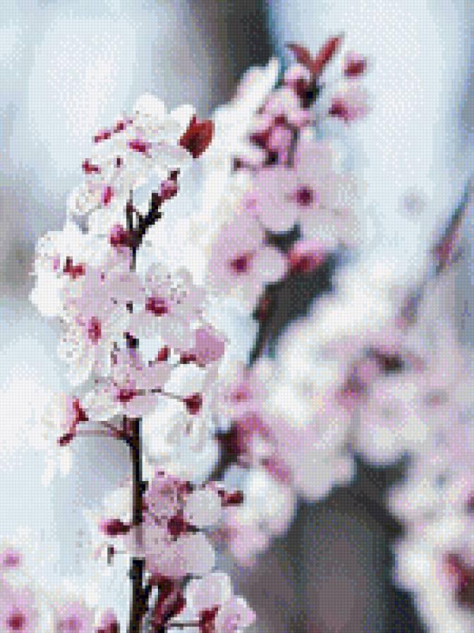 №1001728 - цветы, са - предпросмотр