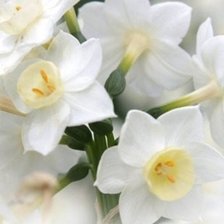 Схема вышивки «№1001736»