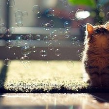 Схема вышивки «Мечтающий котенок»